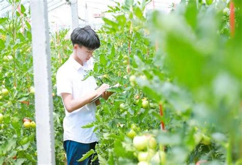 安徽淮北：新型农业装备 引领科技种植