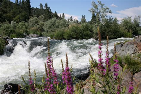 Parks Rogue River Oregon at Angus Champion blog