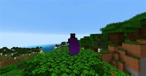 Image result for How to Get Custom Elytra in Minecraft Java