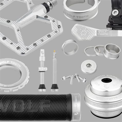 Install a Wolf Tooth Gnar Chain Guide 的图像结果