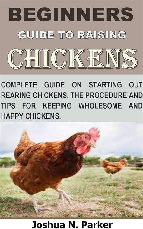 BEGINNERS GUIDE TO RAISING CHICKENS: A complete guide to starting out ...