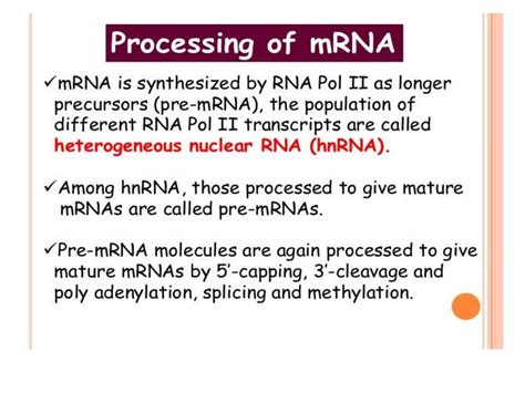RNA Processing: Post Transcriptional Modifications ,Splicing , Capping ...