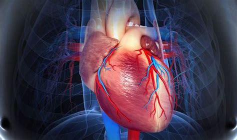 Image result for Heart Beat RPG Tutorial