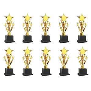 10 PC Star Trophy - 29 with Customization Logo for Events, Functions ...