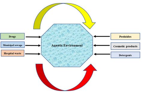 State-of-the-Art Review on the Application of Membrane Bioreactors for ...