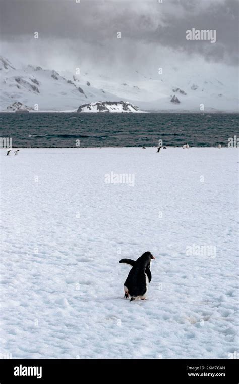 Image result for Example Numpy