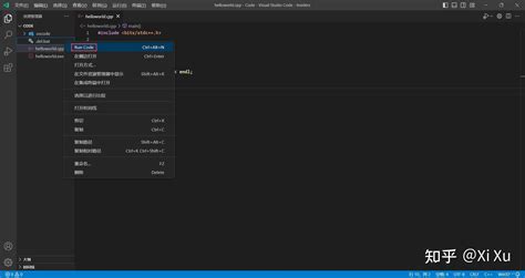 C Using Visual Studio Code 的图像结果