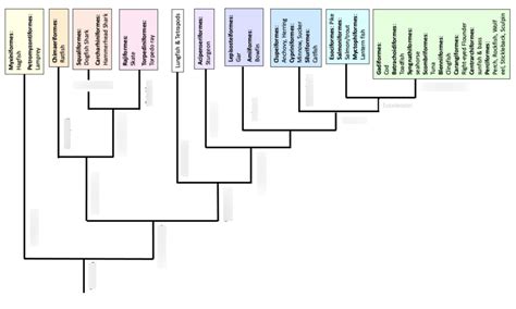 Types 的图像结果