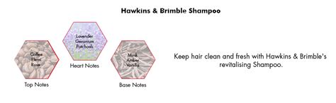 Buy Hawkins & Brimble Shampoo, 250 ml Online at Low Prices in India ...