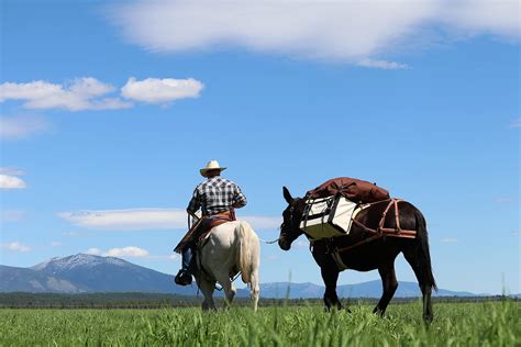 Buy TrailMax Canvas Pack Panniers; Pack Panniers for Horse & Mule ...