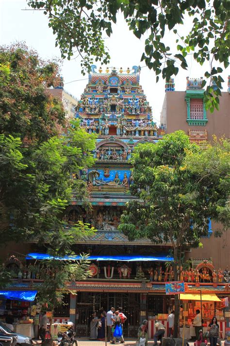 Matunga 的图像结果