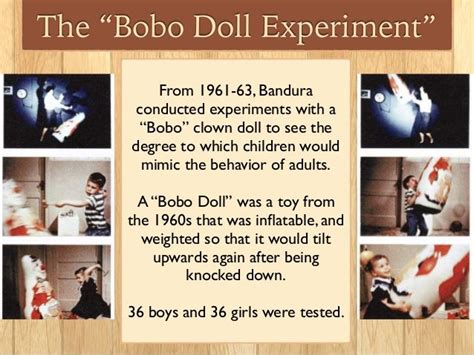 Observational Learning 的图像结果