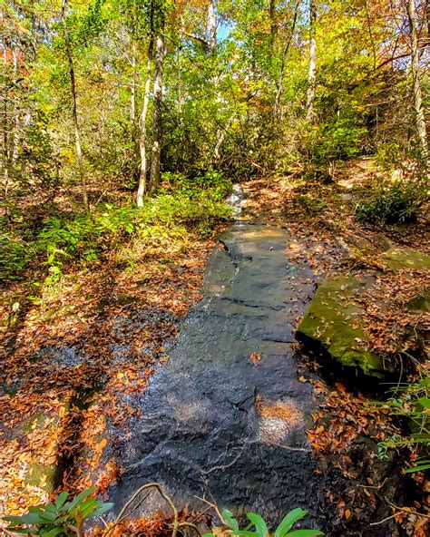 Wildcat Branch Falls (Wildcat Wayside Falls) - Steph Purk