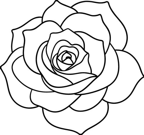 Image result for Use API in Code