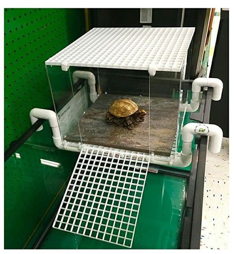 Setting Up a Turtle Tank 的图像结果