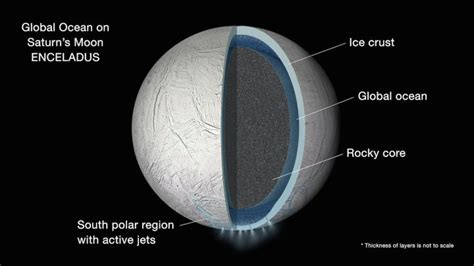 Saturn's moon Enceladus has a warm global ocean