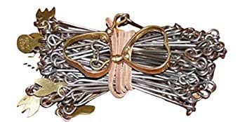 DILNAZ ART 20 Metre Land Survey Chain, Galvanized Iron & Brass, 100 ...