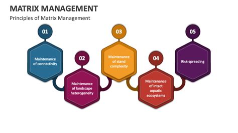 Image result for ScienceDirect Management Matrix