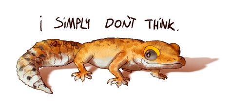 Image result for Geck Script