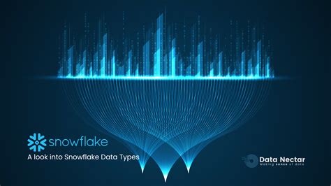 Snowflake Data 的图像结果