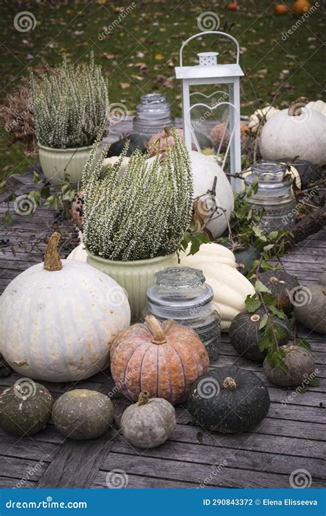 Fall Decorating with Pumpkins Stock Photo - Image of varieties, outside ...