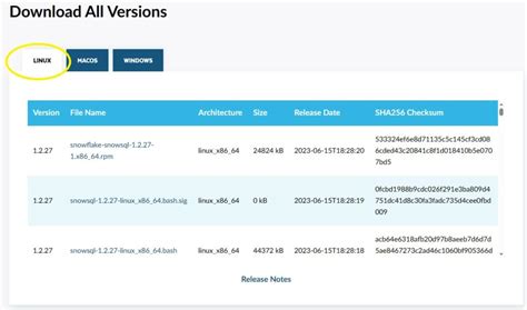 Image result for Snowsql Batch File Example