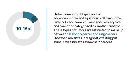 Large Cell Carcinoma | Diagnosis, Prognosis, & Treatment