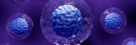 JAK STAT signaling dynamics in PBMCs and other cell models using ...