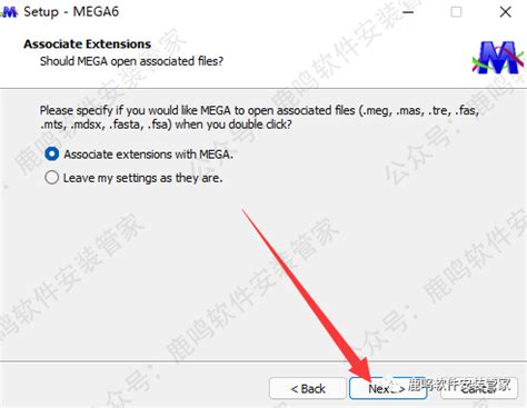 Mega Software Installation 的图像结果