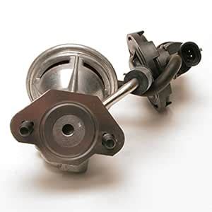 Delphi EG10384 EGR Valve : Amazon.in: Car & Motorbike