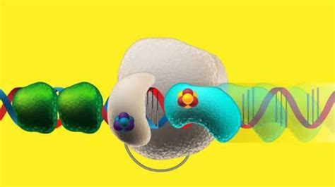 CMOS Electronic DNA Replication 的图像结果