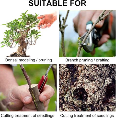 Buy Pruning Sealer, Bonsai Cut Paste Tree Wound Dressing Tree Wound Cut ...