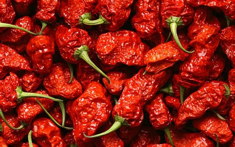 Carolina Reaper Scoville Explained | Magic Plant Farms