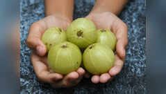 Why one must have 1 amla daily in winters | The Times of India