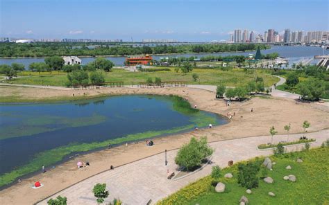 群力江畔游湿地赏花海玩沙子|湿地|花海|哈尔滨市_新浪新闻