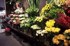 grossista fiori ingrosso fioristi fiorista fiori all ingrosso grossista fiori ingrosso fioristi fiorista fiori all ingrosso