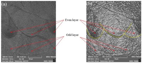 Optimizing Selective Laser Melting of Inconel 625 Superalloy through ...