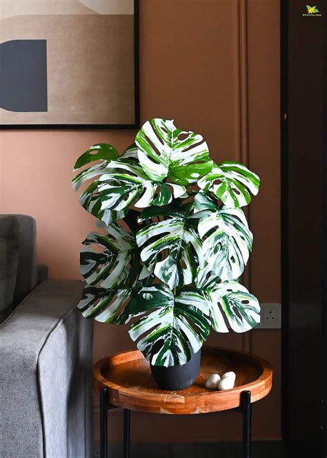 Buy Blooming Floret Artificial Snake Plant | Big Ornamental Plant for ...