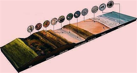 Geographical Landscape Examples 的图像结果