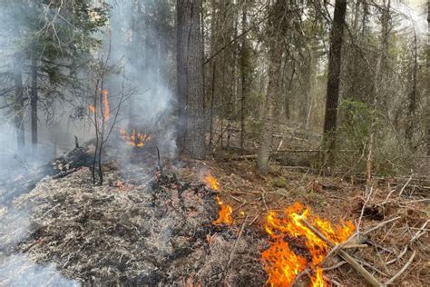 Crews still battling wildfire near Isabella - Duluth News Tribune ...