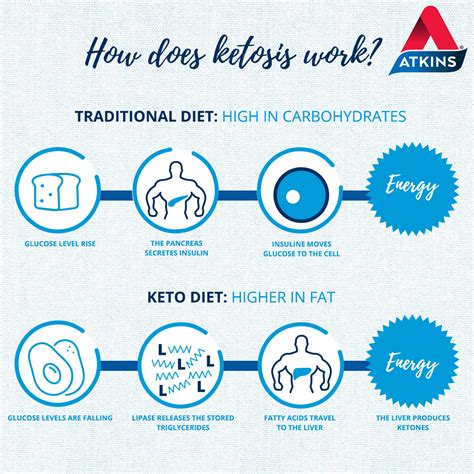 Keto Diet: Discover the surprising similarities with Atkins | Atkins Low Carb Diet