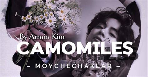 #Camomiles — Teletype