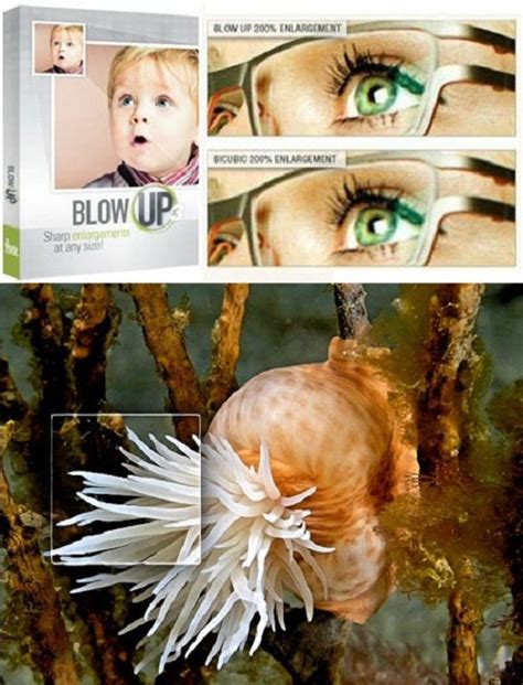 آبی گرافیک | دانلود آموزش ،گرافیک و عکس