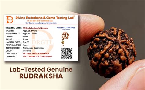 Divine Hindu Gold Plated Brass Rudraksha Bracelet For Women | Lab ...