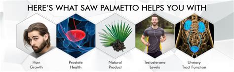 Buy FIJ AYURVEDA Saw Palmetto Extract Capsules For Men & Women 500mg 60 ...