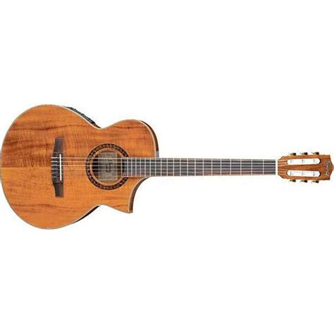 Buy Ibanez EWN28KOENT Nylon String Electro Acoustic Guitar Online | Bajaao