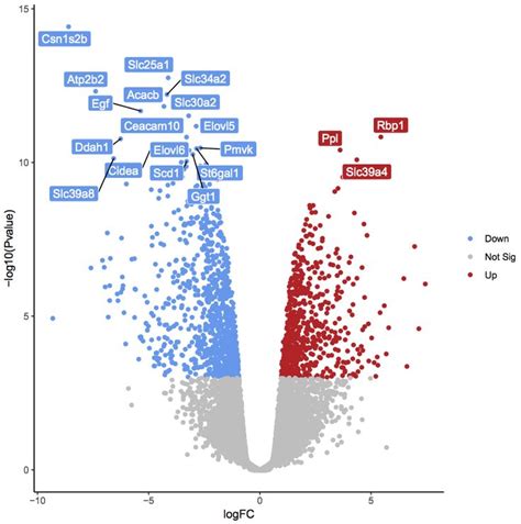 Volcano Plot Explained 的图像结果