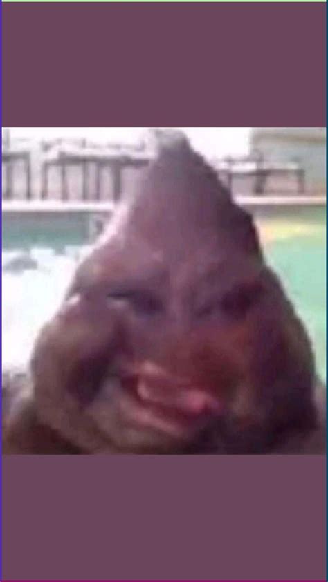 You Are NOT Fat You Only Have Poop.. | Funny pix, Very funny pictures ...