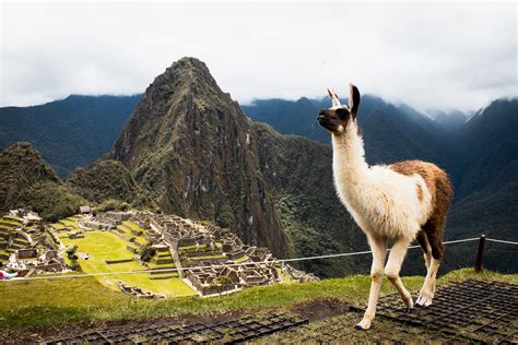 Five Fun Facts About Peru — EdOdyssey