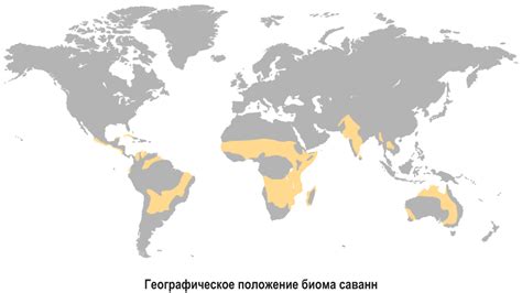 Саванны географическое положение климат почва растения животные таблица